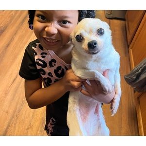 Meet your Posher, Rose